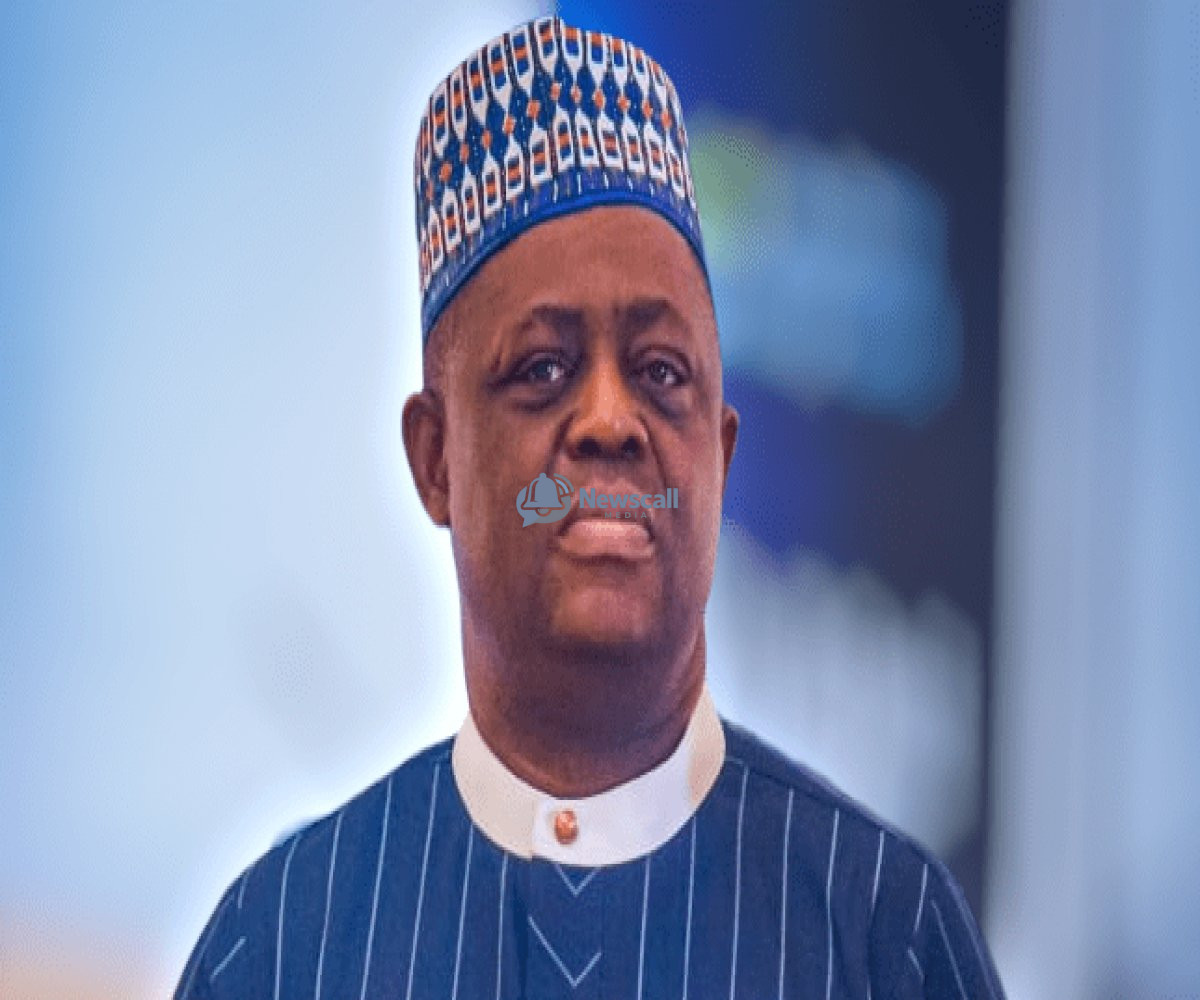 From Germany to South Africa: Fani-Kayode Secures Redeployment After Requesting Change of Posting.