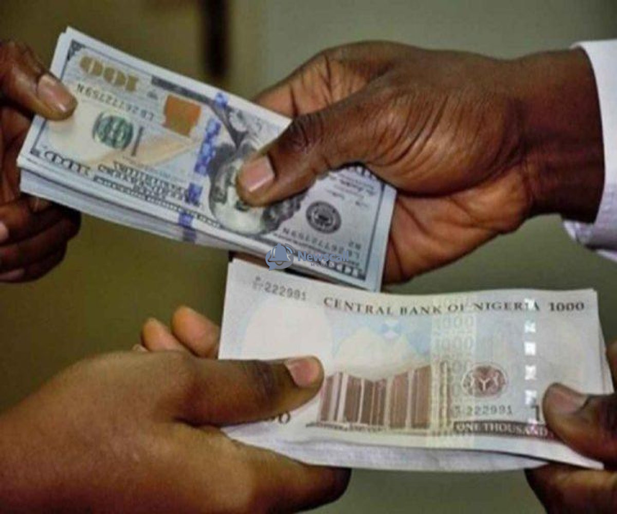 Naira Battles for Stability as Black Market Dollar Climbs Above ₦1,400