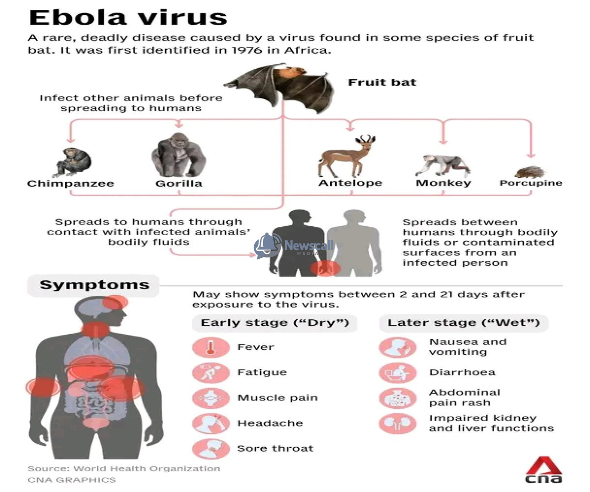 Ebola Fears: Nigeria Declares Borders Secure, Immigration Dismisses “Porous” Claims