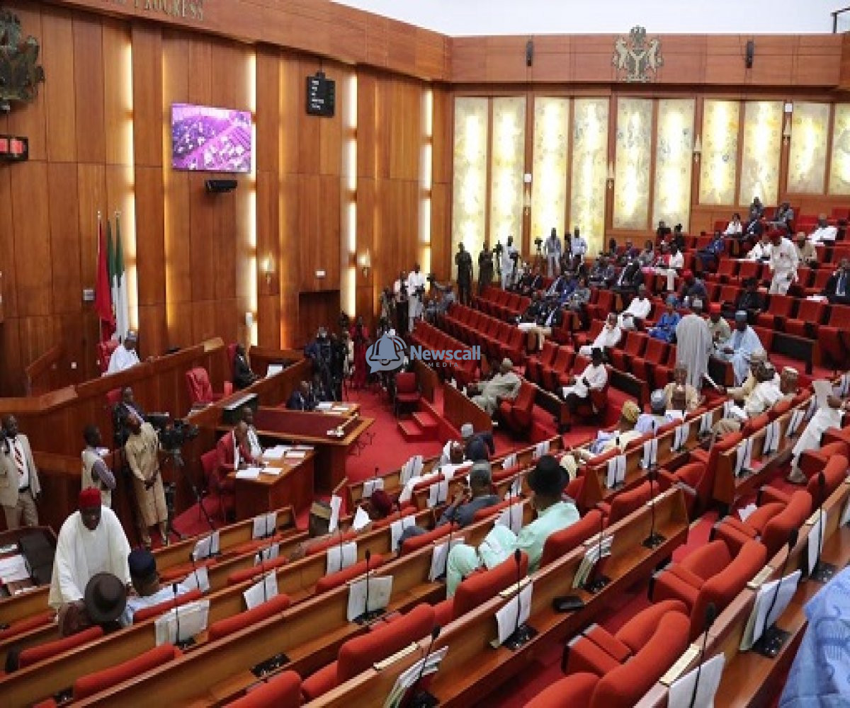 PDP Faction Led by Abdulrahman Mohammed Declares Senator Sandy Onor as Consensus Presidential Candidate for 2027 Elections.