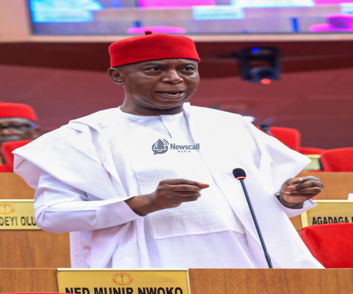 APC Primary Crisis in Delta: Ned Nwoko Rejects Okowa’s Victory, Heads to Court Over Alleged Irregularities.