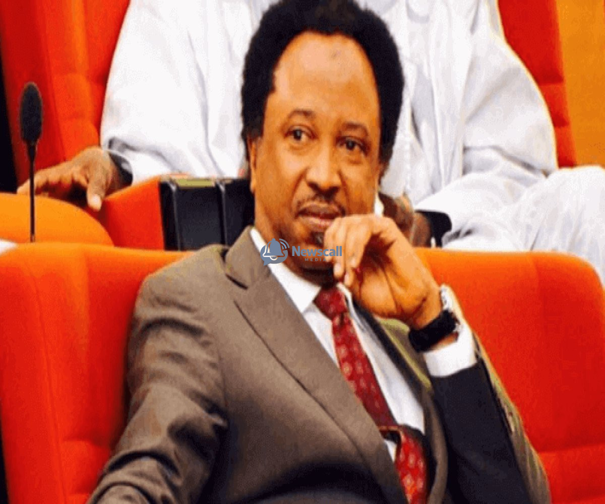 Nigeria’s ISWAP leader, Ba’a Shuwa rejects appointment after Mainok Killed in Nigeria-US strike