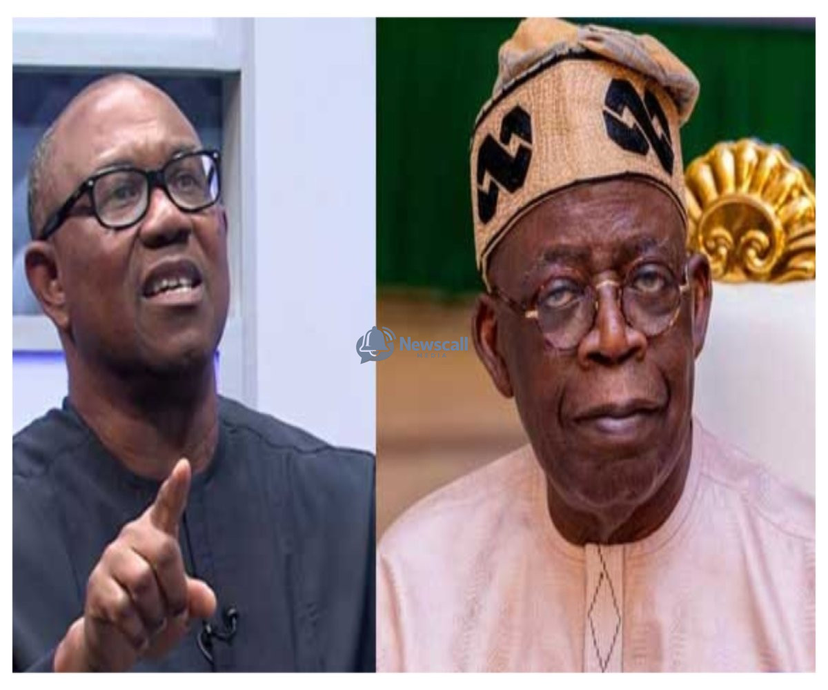 2027: ACF knocks Peter Obi’s one-term promise, Tinubu ‘shambolic’ performance