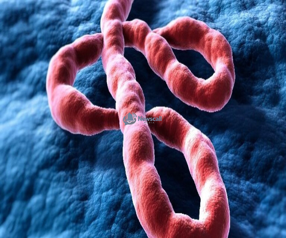 Ebola Nightmare Deepens in Central Africa as Cases Surge Towards 500, WHO Raises Alarm Over Possible Catastrophic Spread