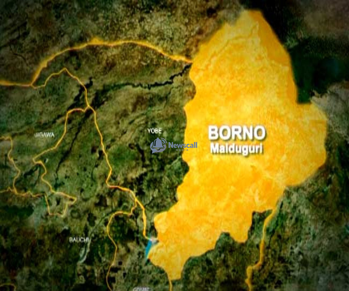 FREED FROM HELL: Borno Kidnap Victims Reveal Horror of Starvation, Child Deaths and Forced Recruitment in Terrorist Camp.