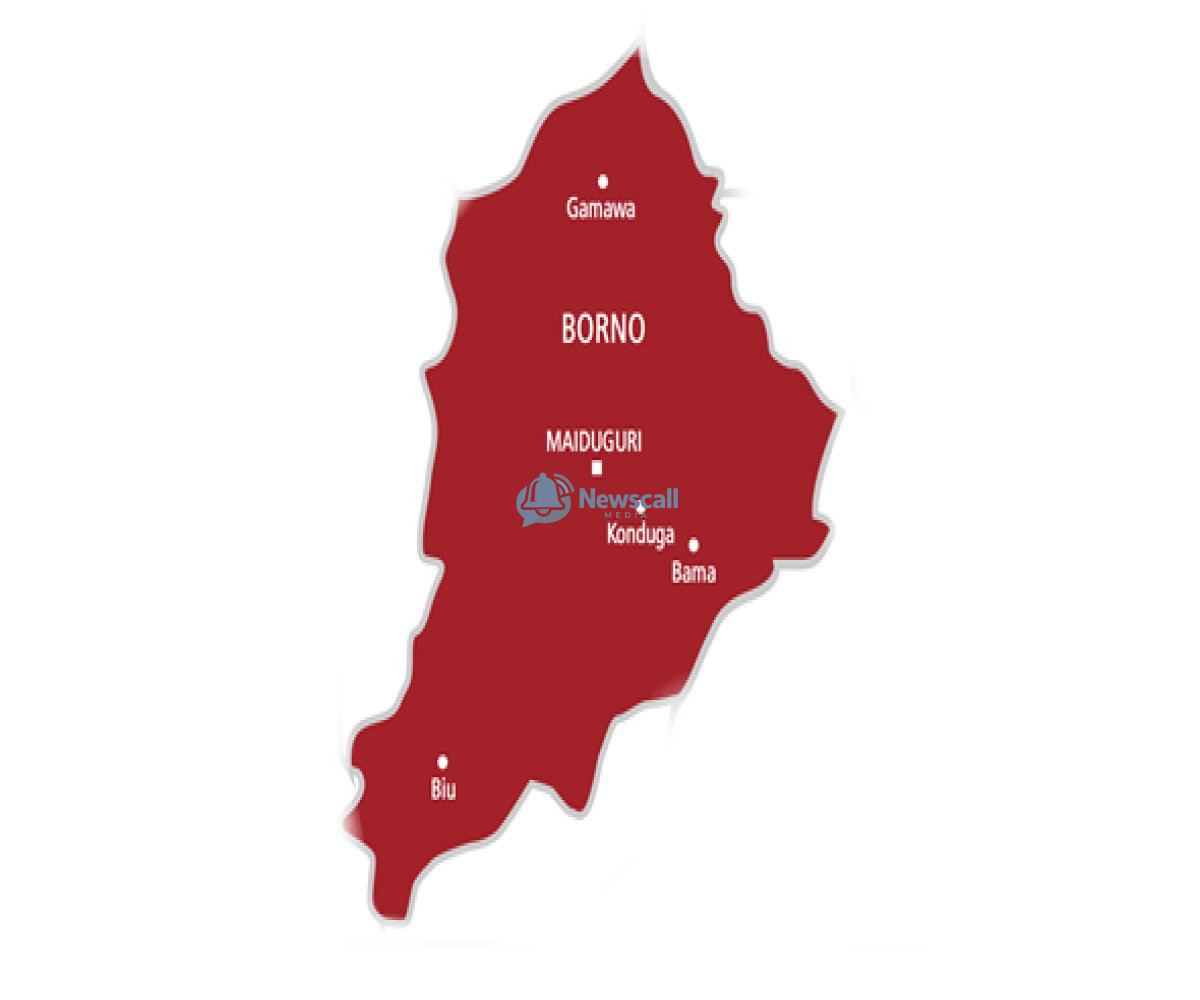 Abducted pupils: ‘They are not politicians, release them,’ Borno stakeholders beg terrorists