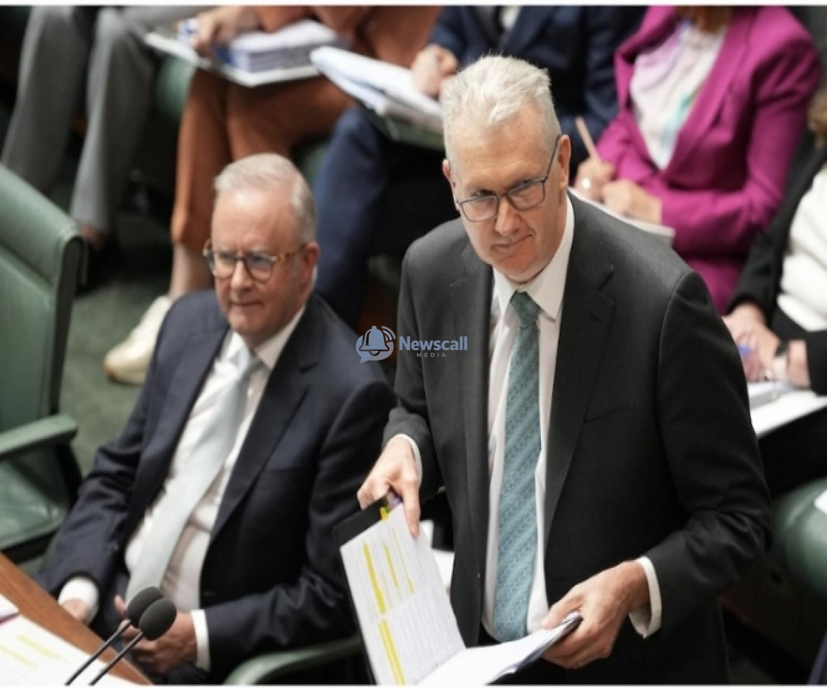 Labor Faces Growing Political Test as One Nation Gains Ground