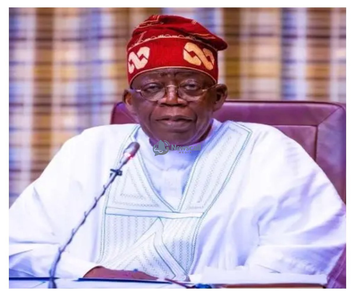 Democracy Day: Tinubu announces move to enhance food production