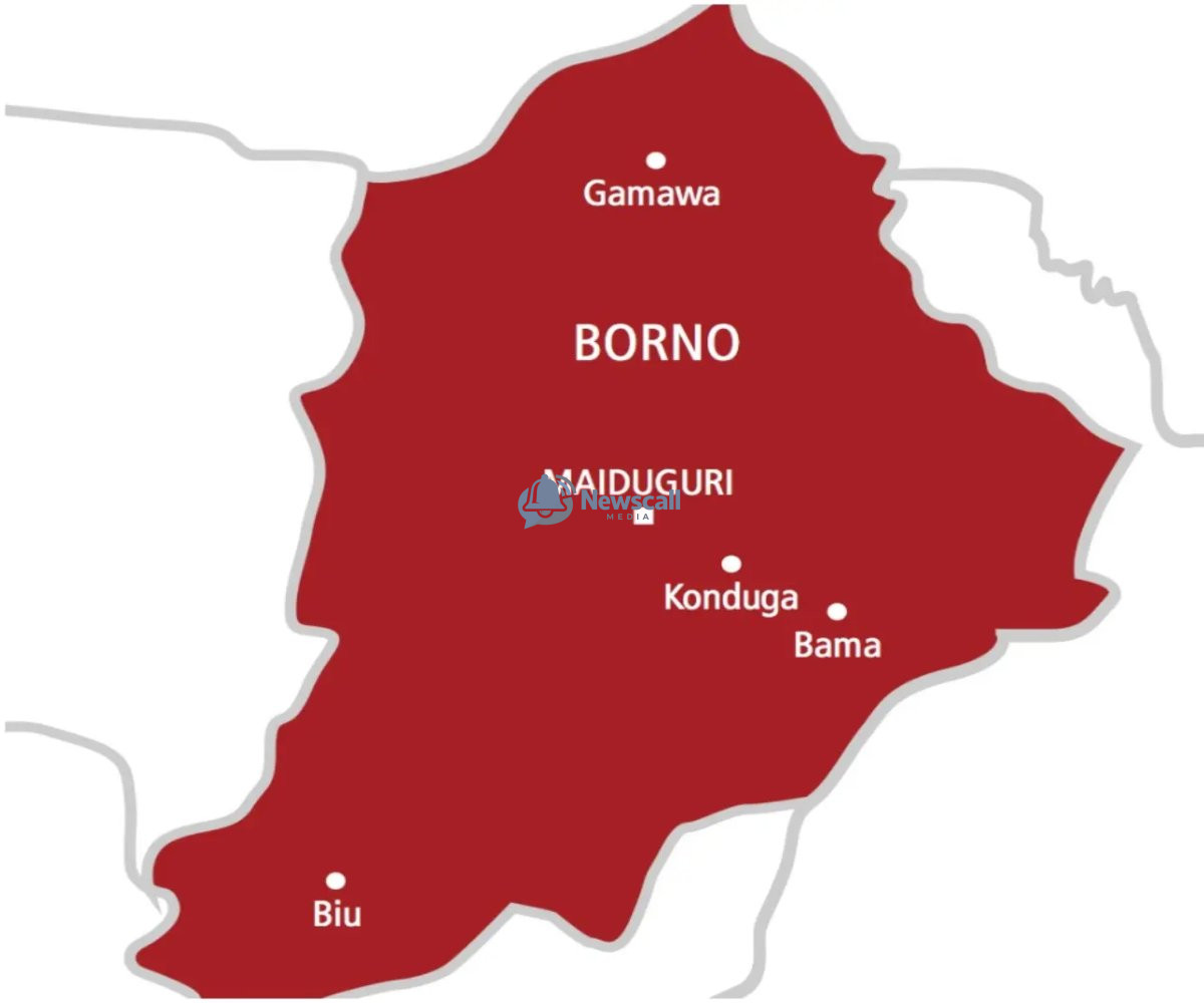 Troops foil ISWAP/JAS attack on military position in Borno