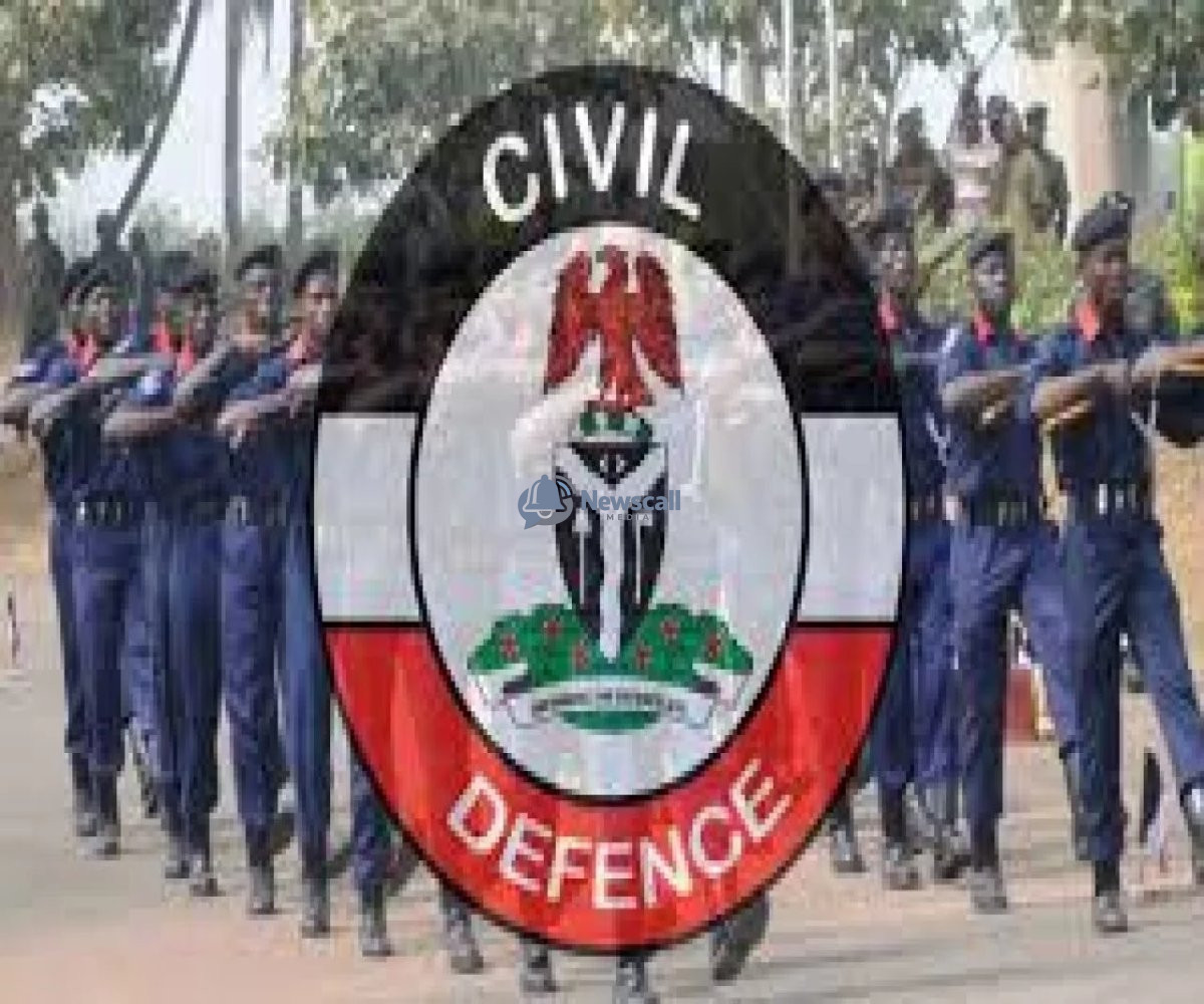 How we rescued Amina, wife of Major General Rabe Abubakar – Nigerian Army