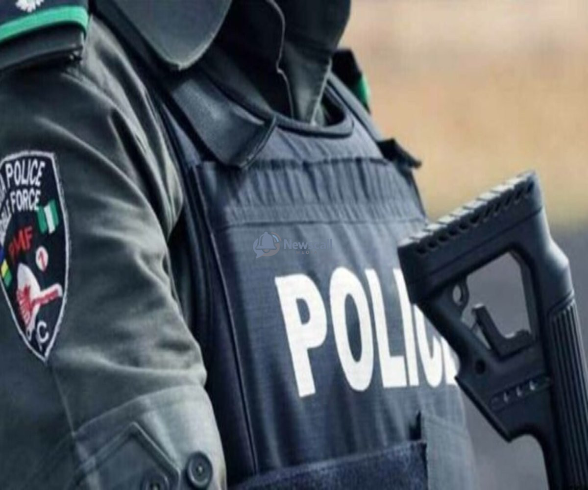 Adamawa: Police go after vehicles with unregistered, concealed number plates