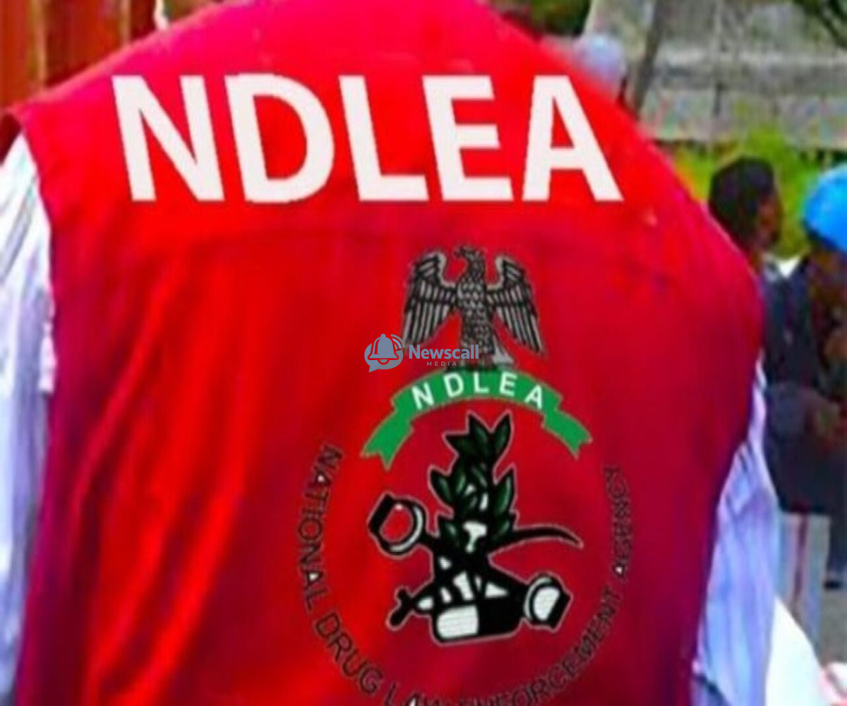 NDLEA arrests two over alleged sale of illicit drugs to secondary school students in Abia