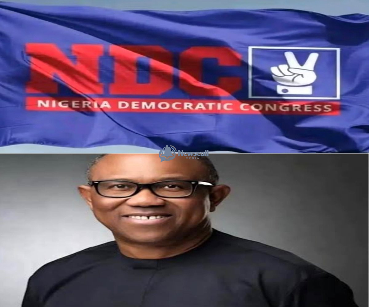 NDC Presidential Candidate, Peter Obi says Tinubu "Does Not Have Capacity To End Insecurity"