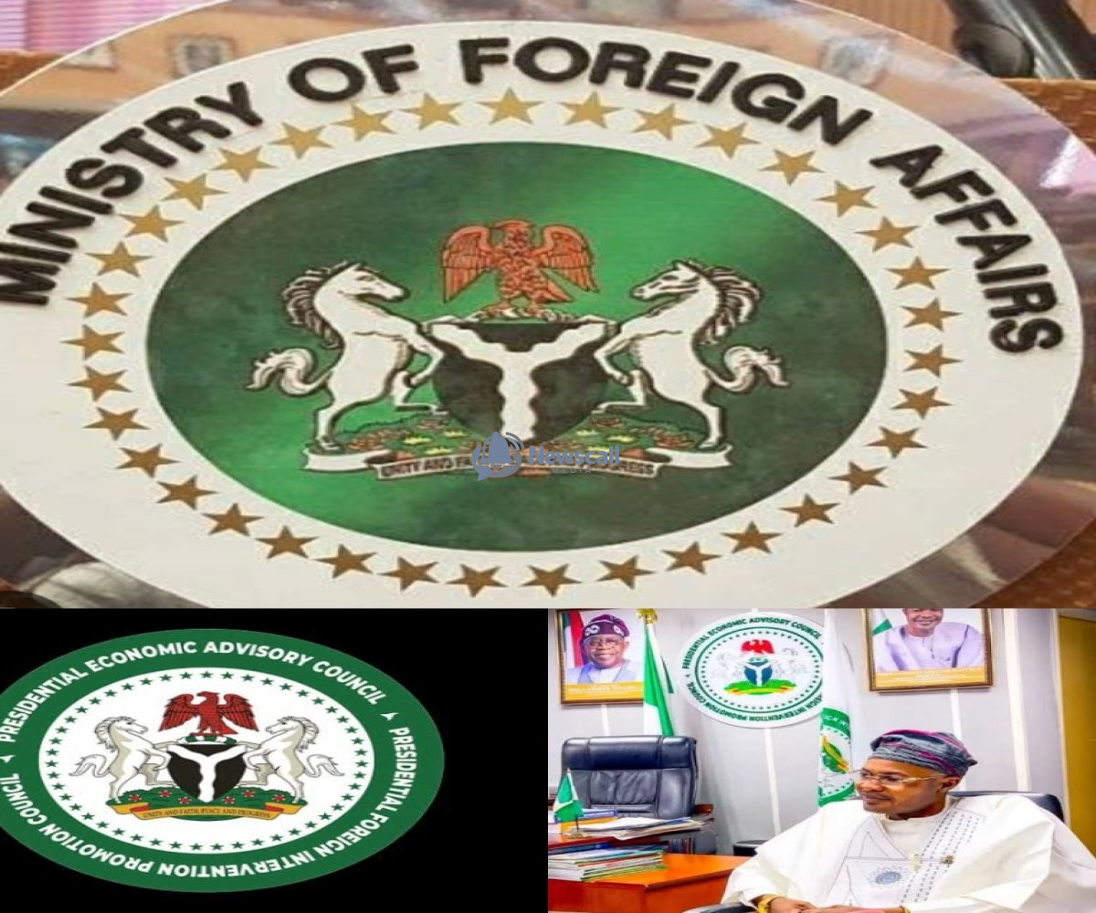 "No Official Relationship With PFIPC" Ministry of Foreign Affairs Claims As Reps Widen Probe