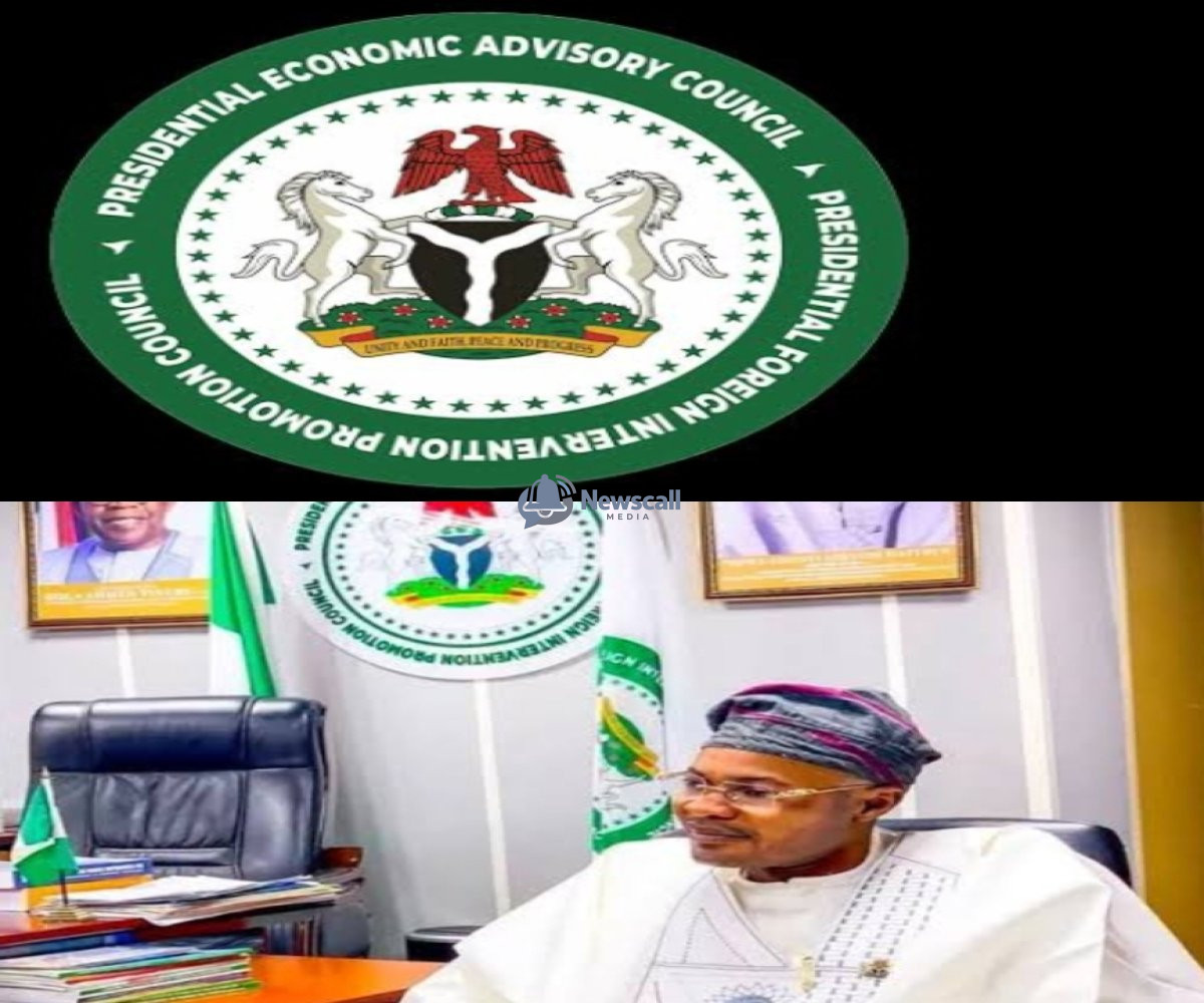 PFIPC Saga Update: Adeyemi Lists Ministries Involved In PFIPC’s Creation